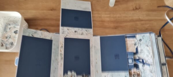 Album Forever Blue de Craft O'Clock